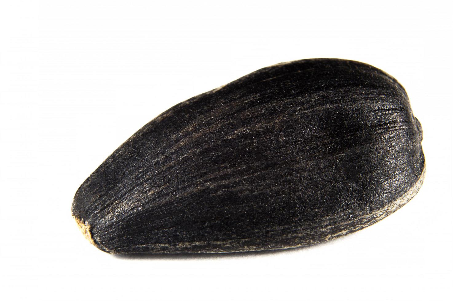 Sunflower seeds in  macro on white background photo