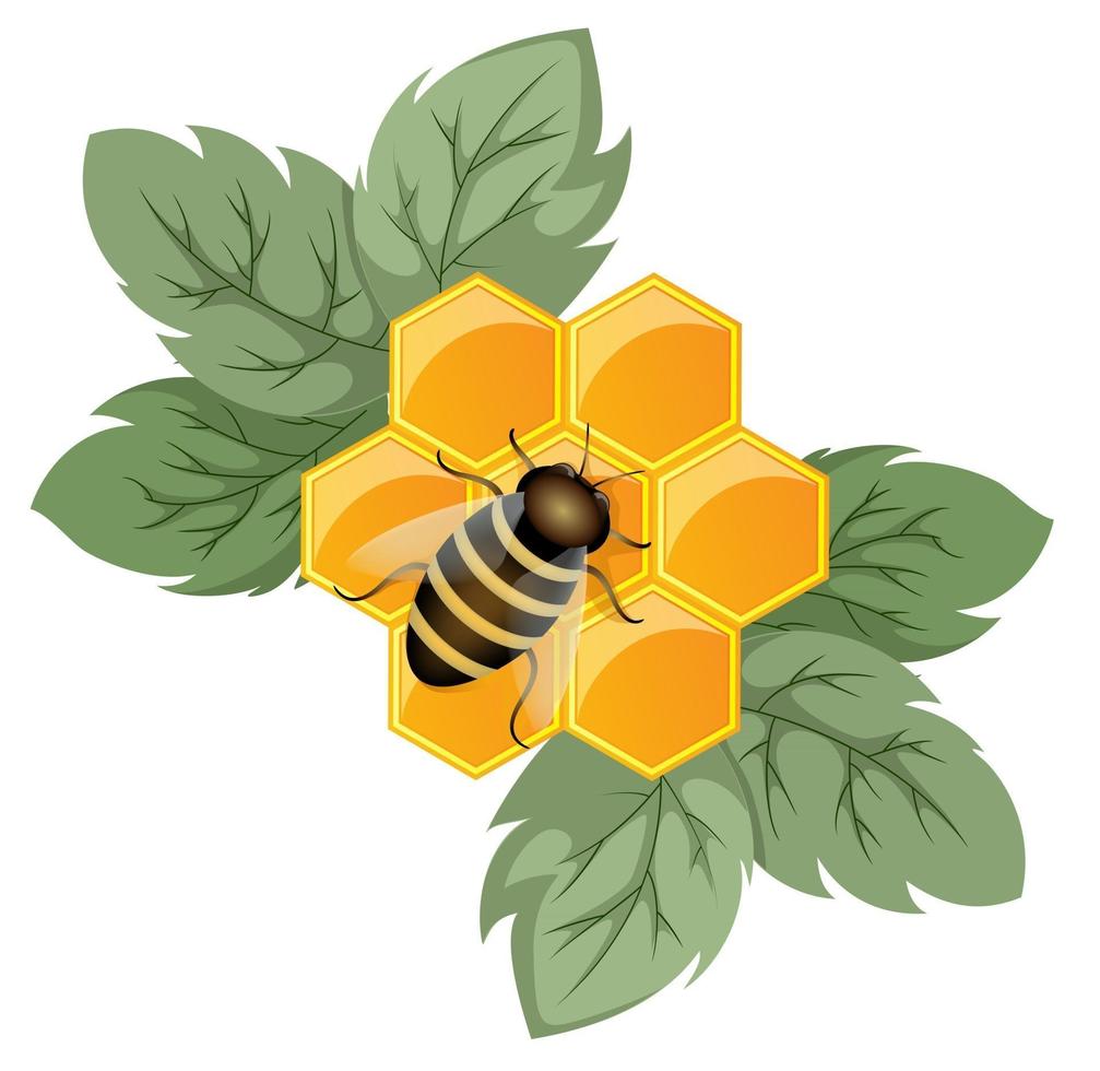 Vector image of a honeycomb as a concept of a flower being a honey plant