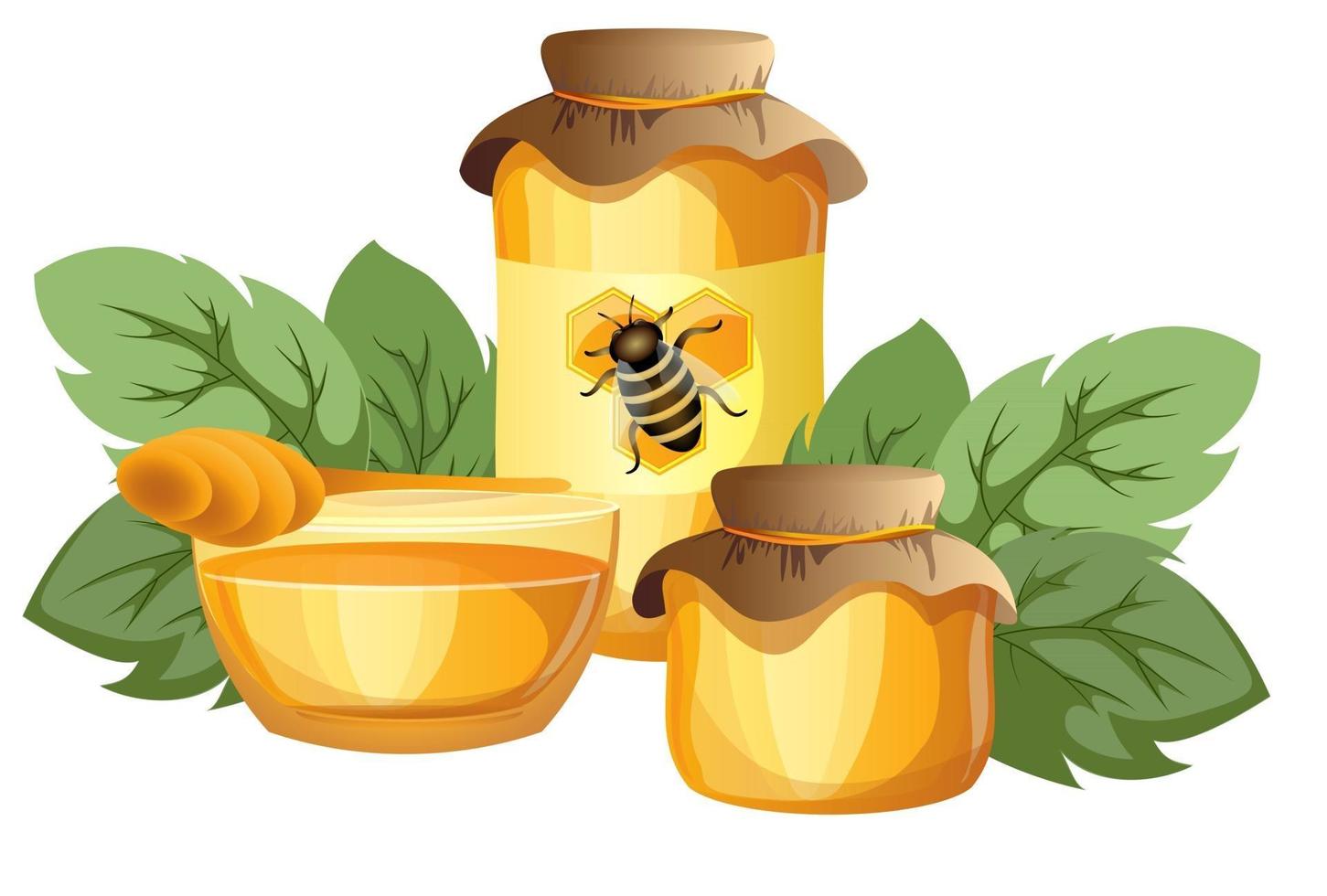 Vector image of honey in various containers