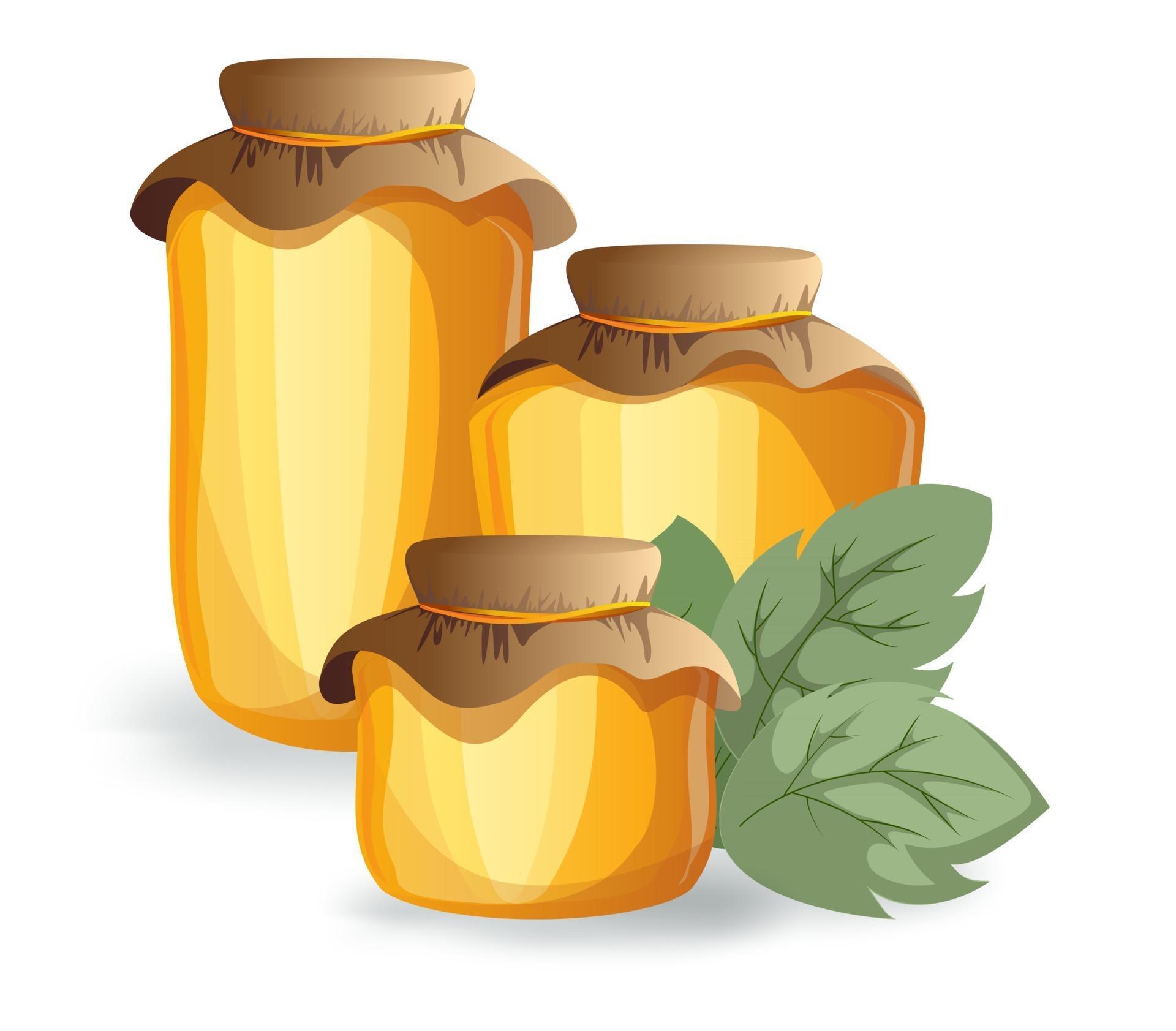 Vector image of honey in various containers 2432511 Vector Art at Vecteezy