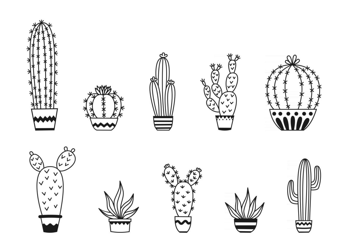 Set of potted cactus and succulent plants Vector outline illustration drawings on a white background