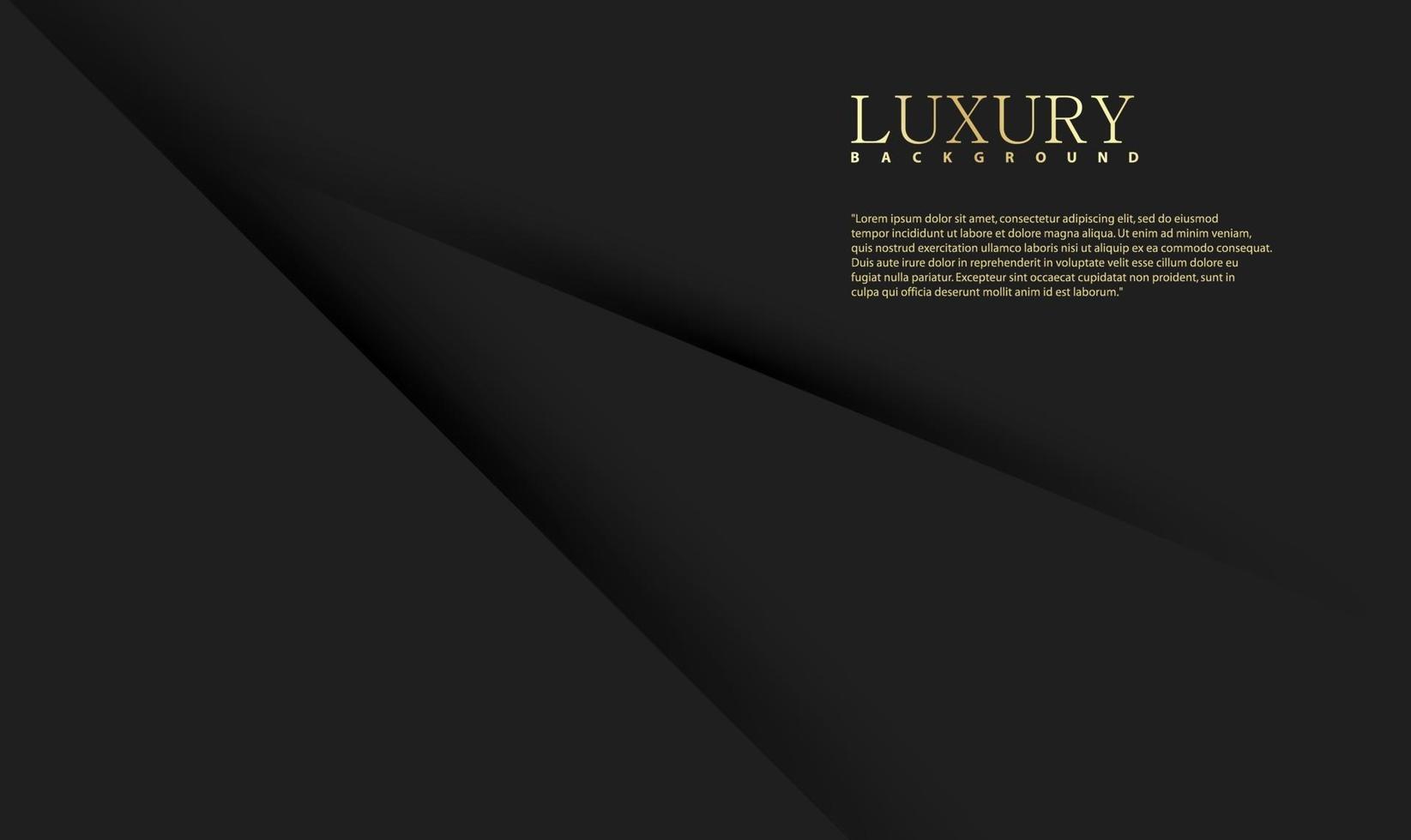 Abstract black luxury background vector