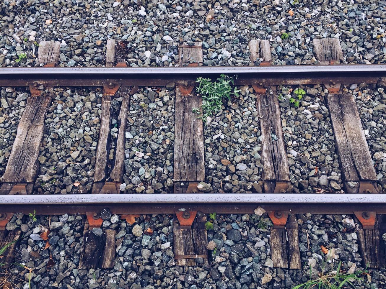 vía de tren en la estación. foto