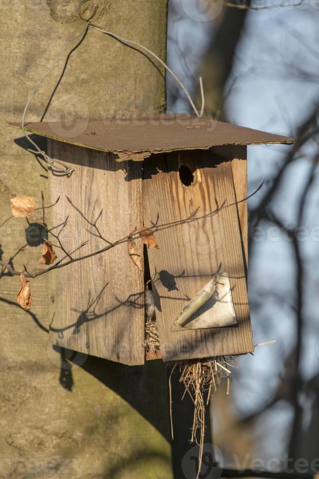 Old homemade bird nesting box hangs broken on a tree photo