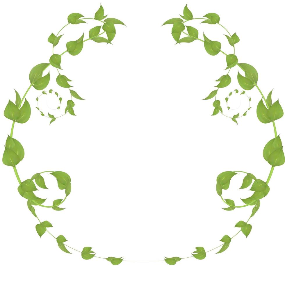 Round frame of stems with leaves for decoration vector