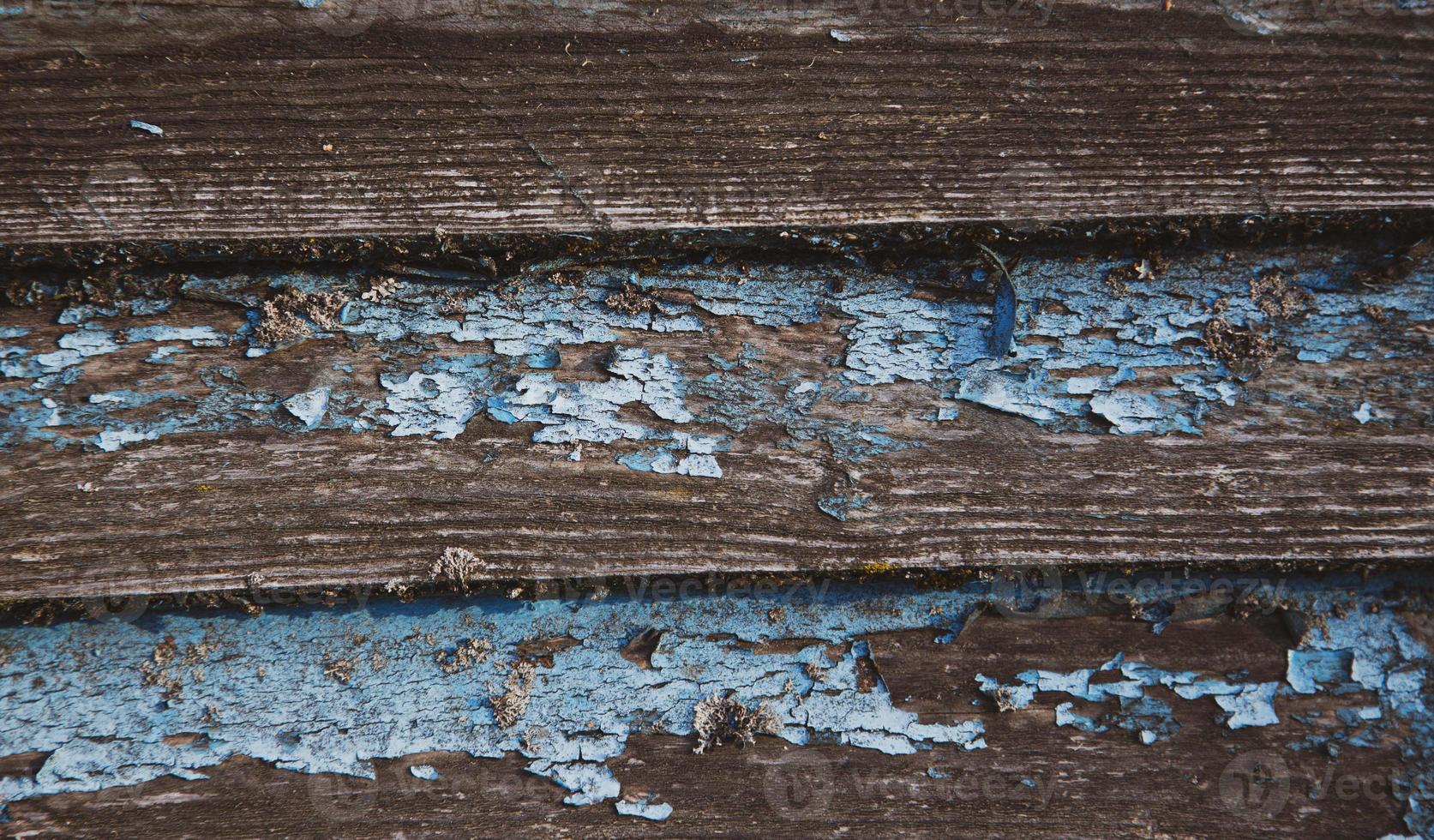 Wood texture background photo