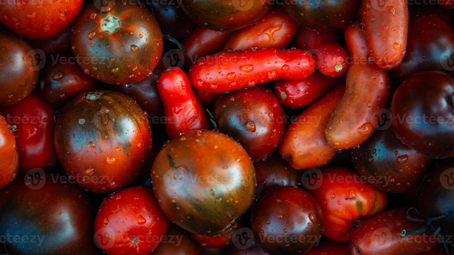 fondo de tomates rojos foto