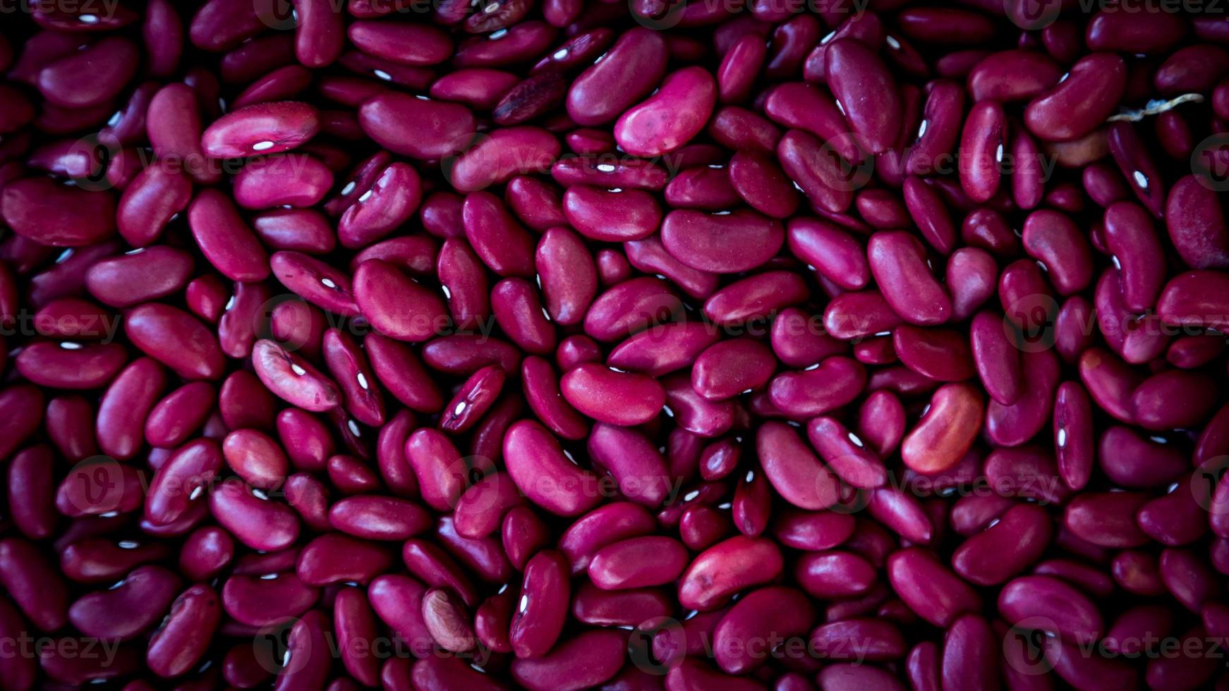 Close-up purple beans photo