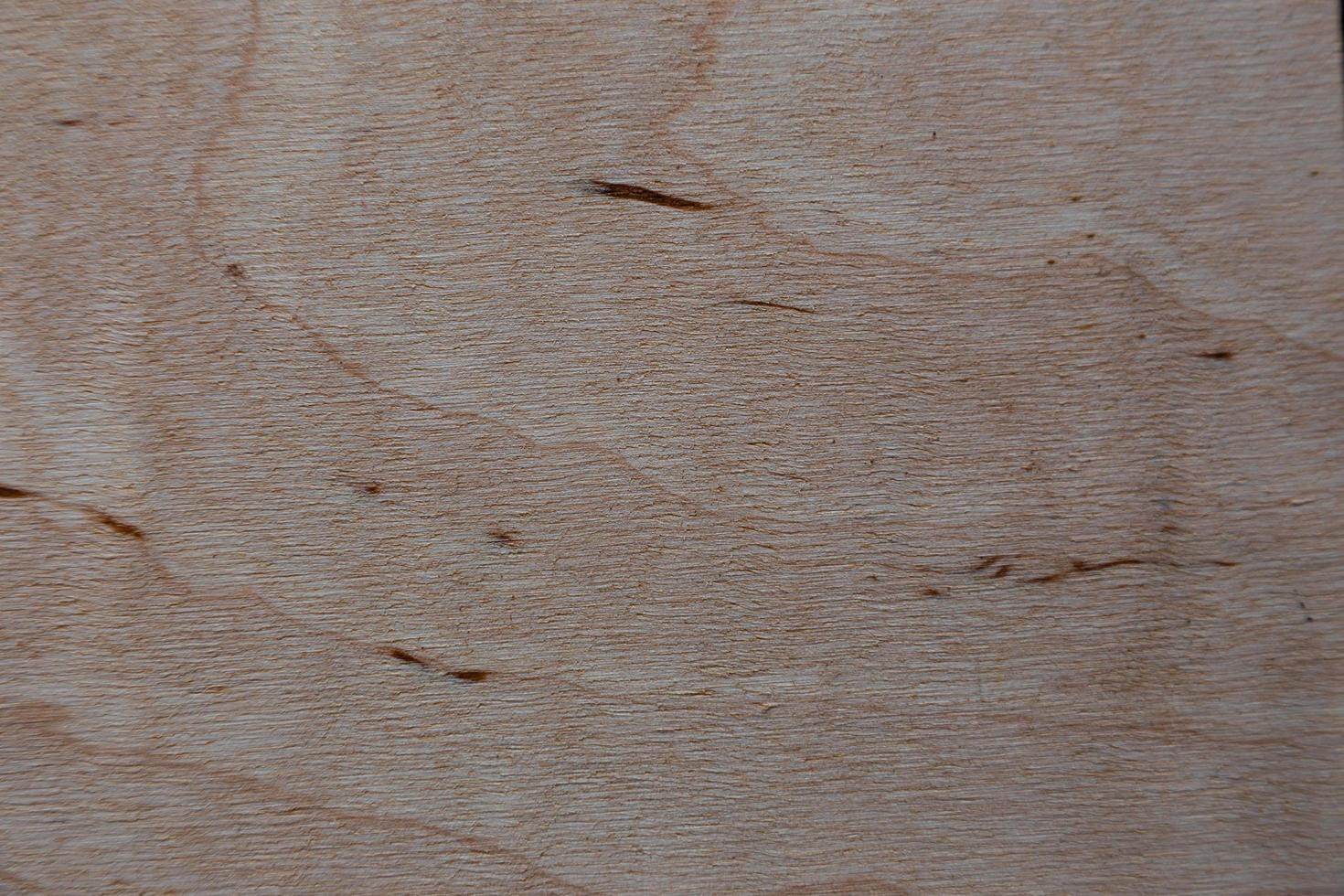 un fragmento de un panel de madera foto