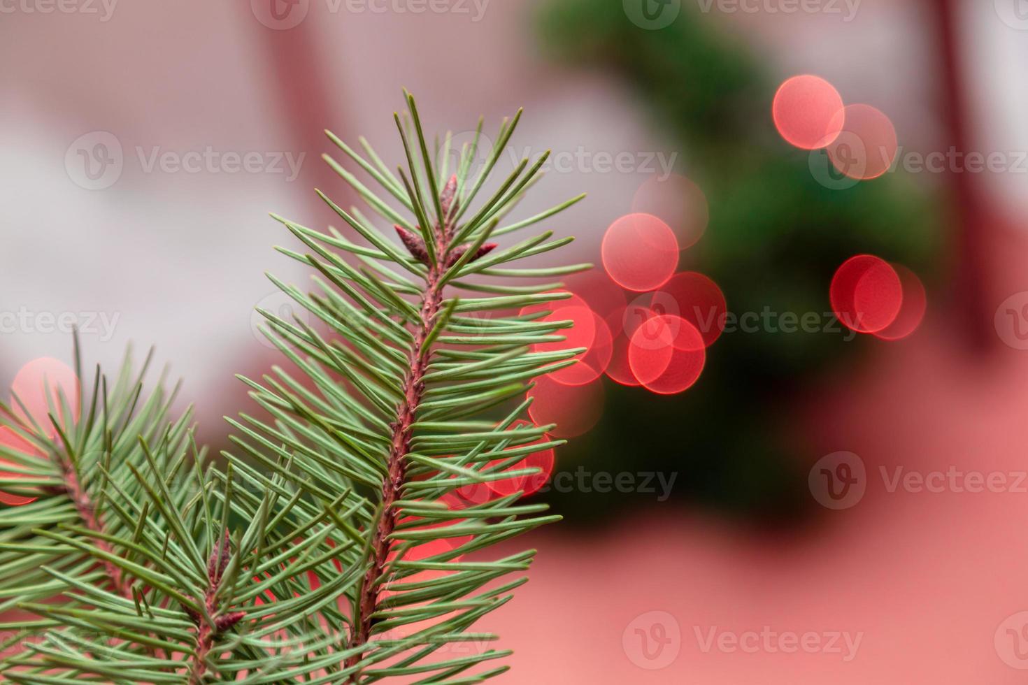 Cerca del árbol de navidad con bokeh rojo foto