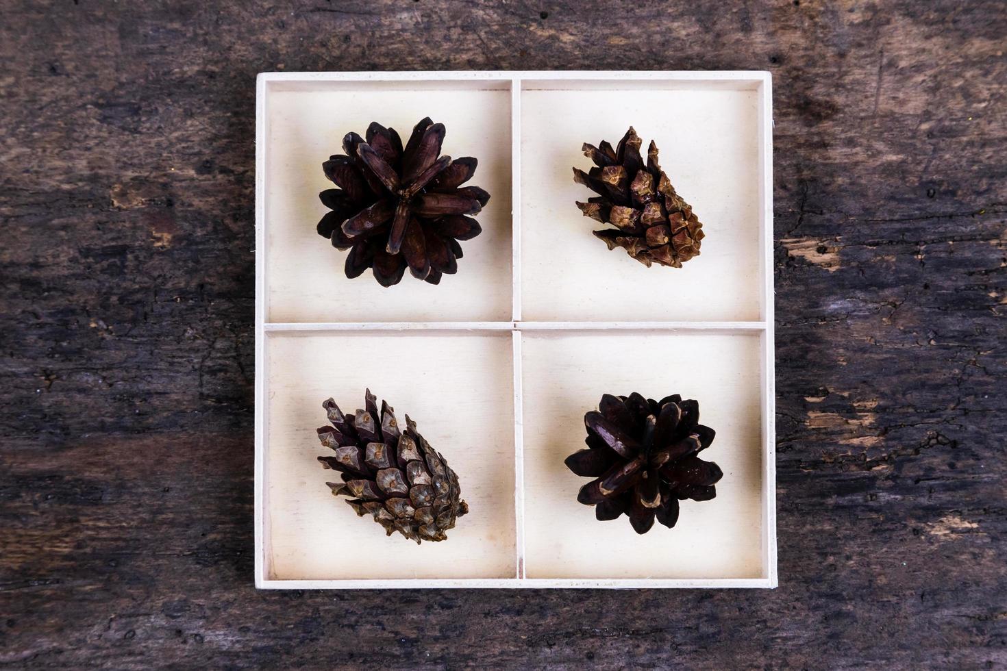 A white box with compartments on a wooden background filled with tree cones photo