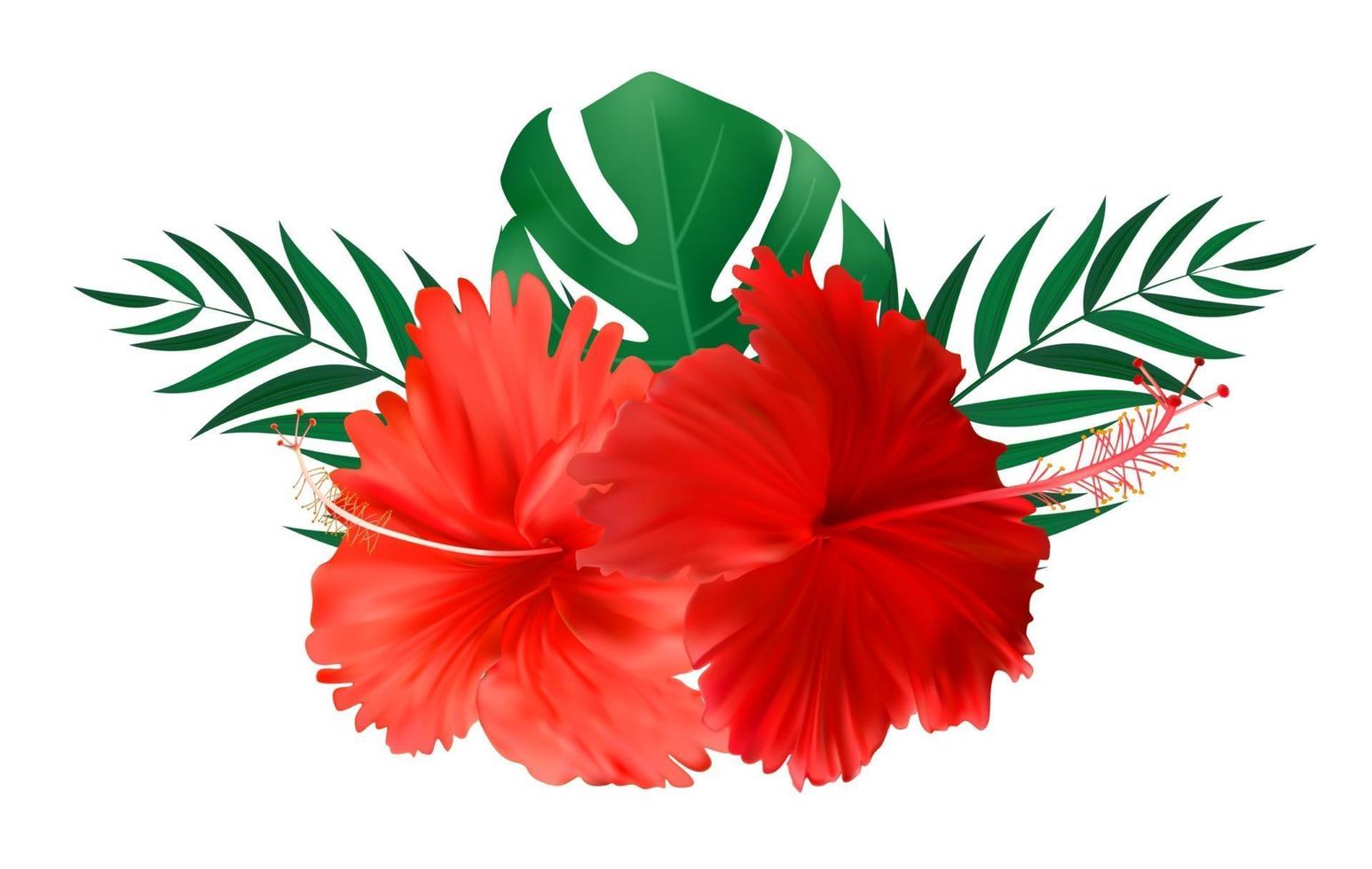 Red hibiscus flower with palm leaves isolated on white background vector