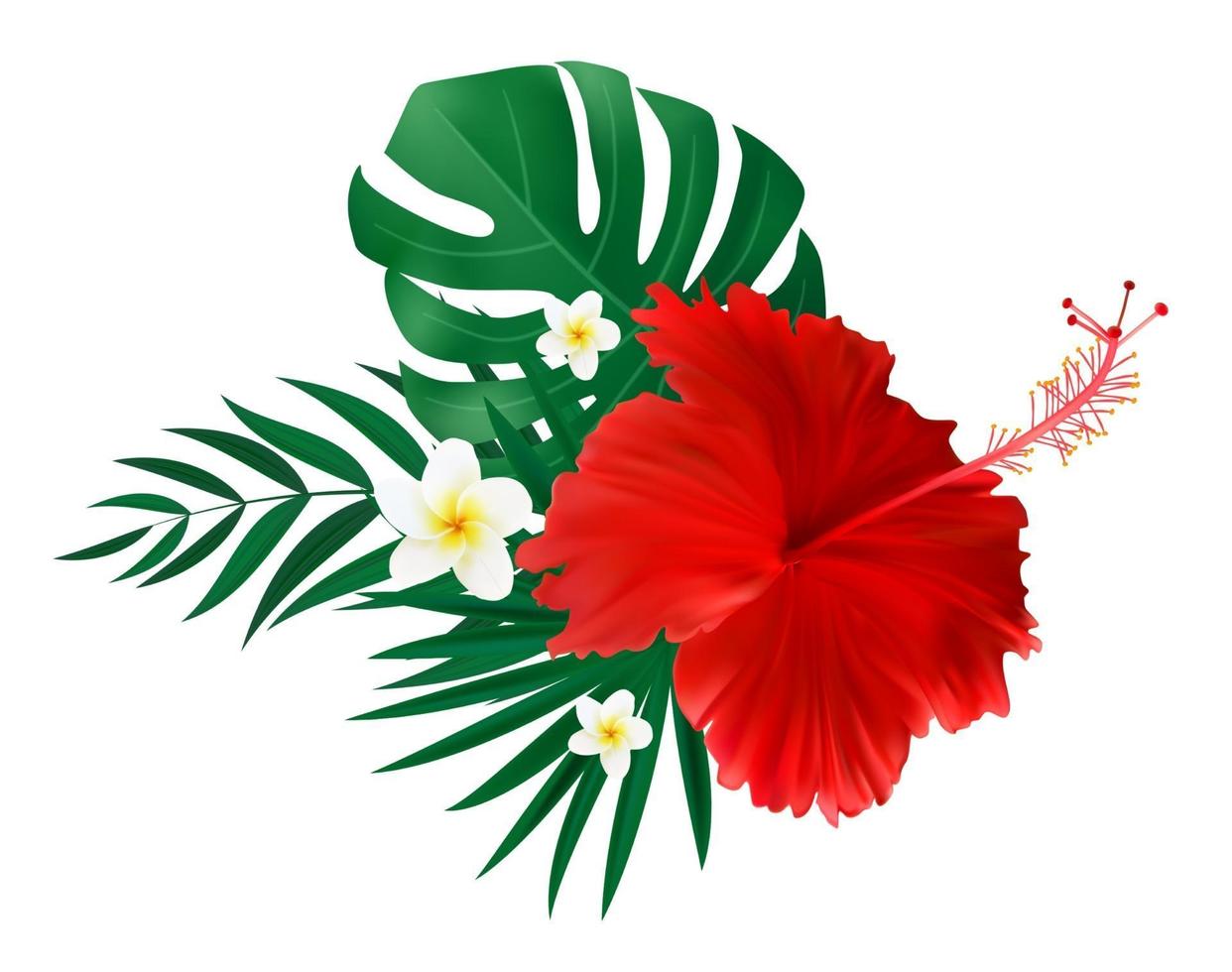 Red hibiscus flower with palm leaves isolated on white background