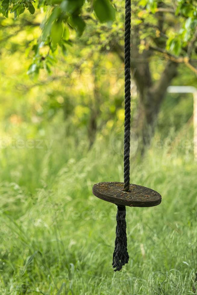 Swing from a wooden disc hangs on a rope in an overgrown garden photo