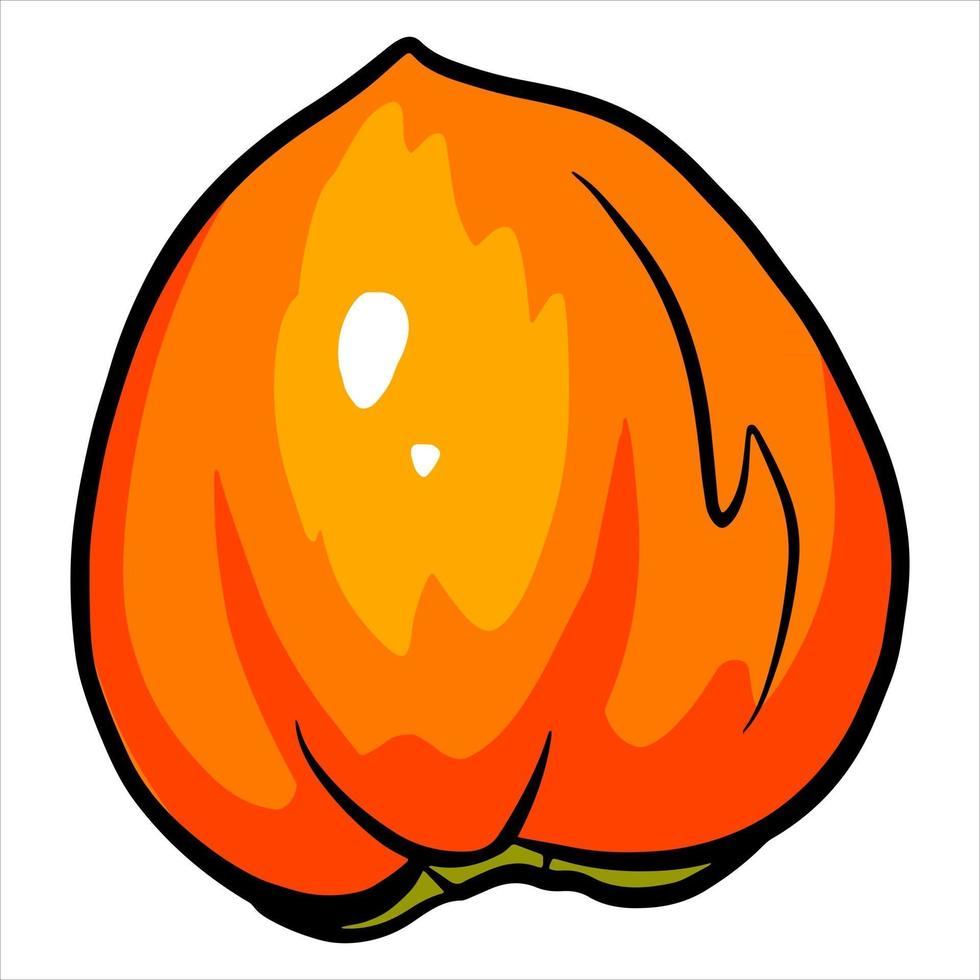 Juicy bright persimmon A healthy fruit Vitamins Handmade style vector