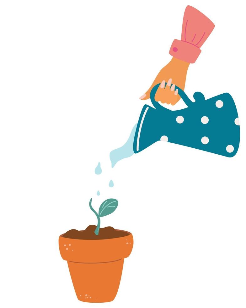 Hand holding watering can watering plant in pot vector