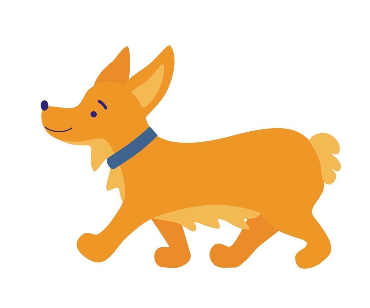 perro corgi lindo amistoso corgi galés cachorro caminando lindo perro raza corgi galés mascotas animales tema canino elemento de diseño ilustración vectorial plana vector