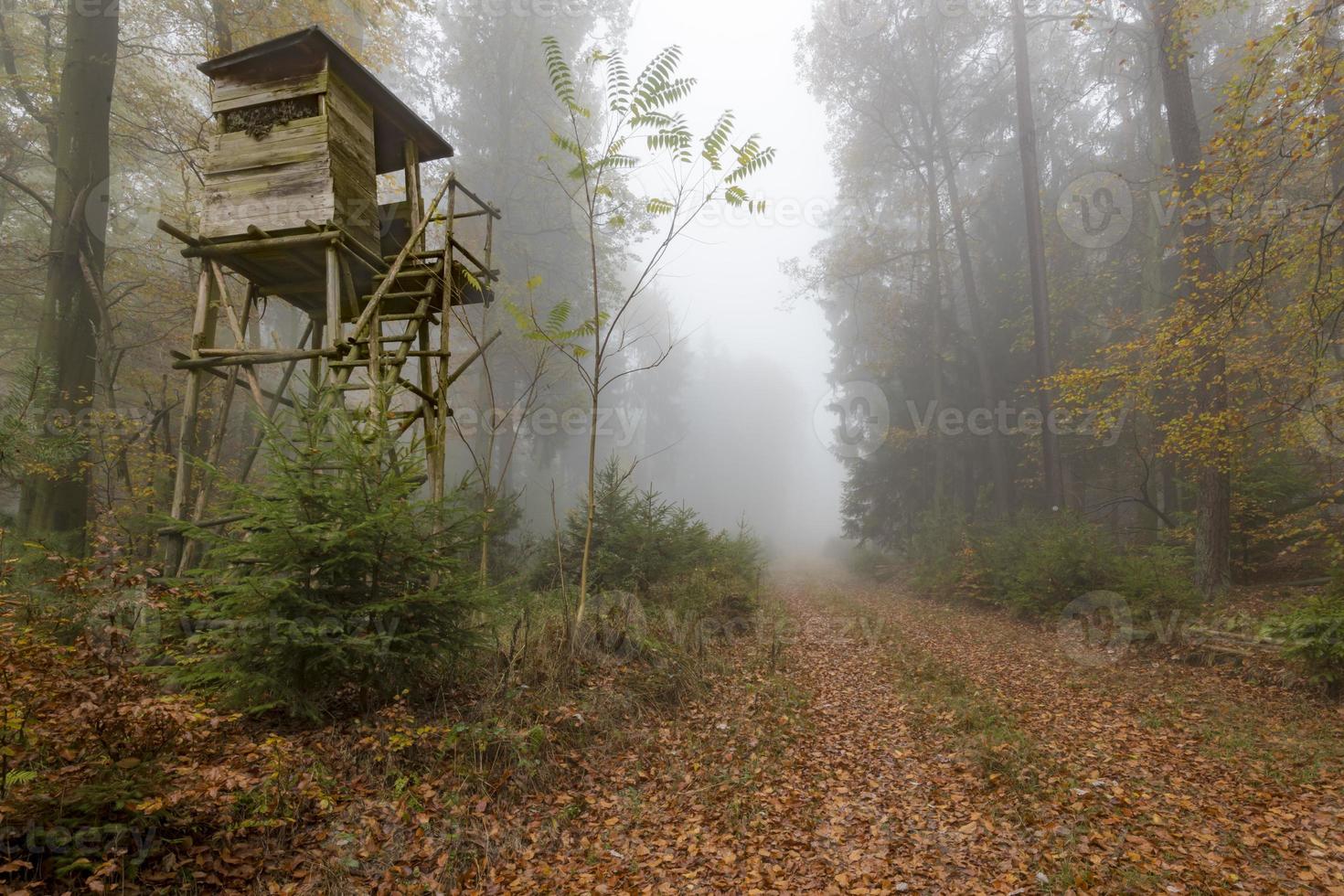 Wooden hunter perched at the forest edge in fog in autumnal pine forest photo