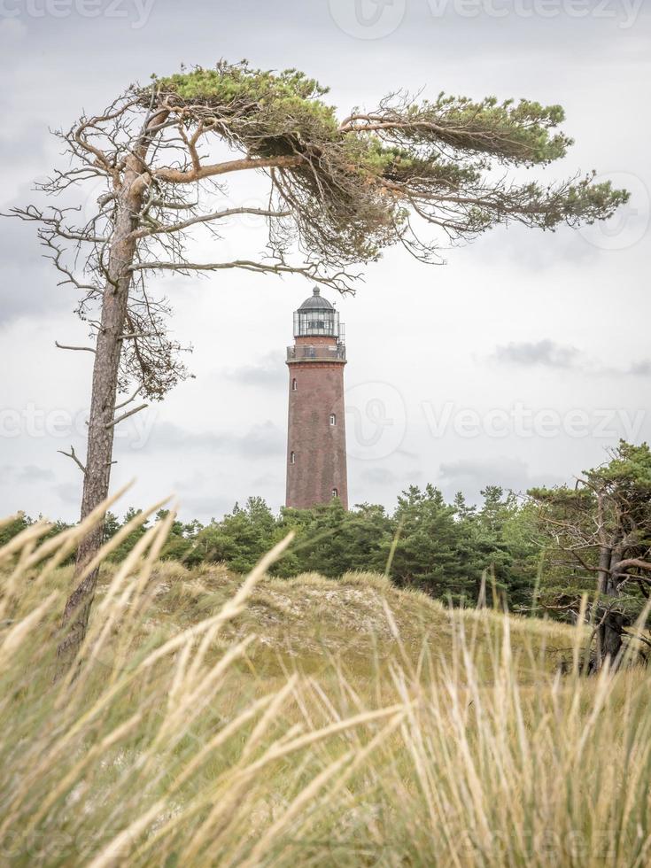 Faro alemán con pino pizarra y pasto seco foto