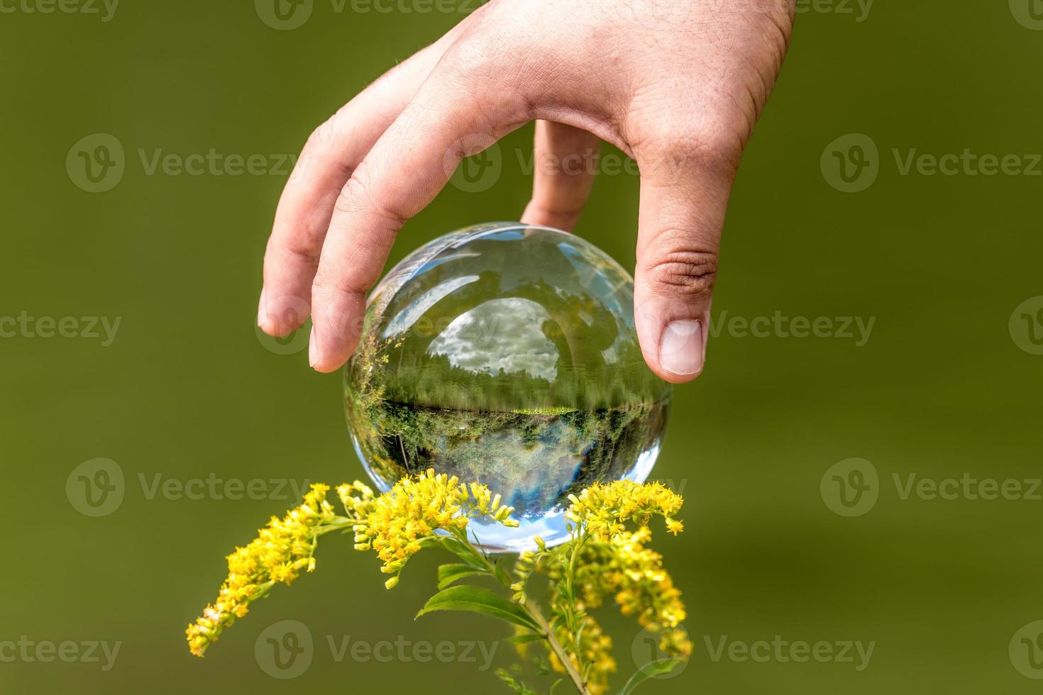 La mano de un hombre alcanza un globo de cristal con un lago reflejado, árboles y cielo contra un fondo verde foto