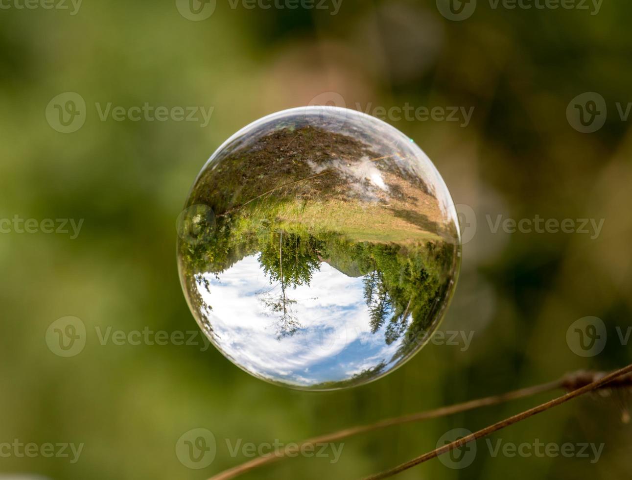 Bola de cristal flota entre briznas de hierba con árboles reflejados y cielo nublado foto