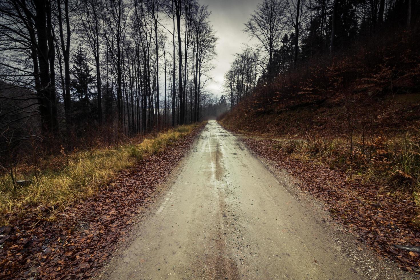 Long dirt road photo