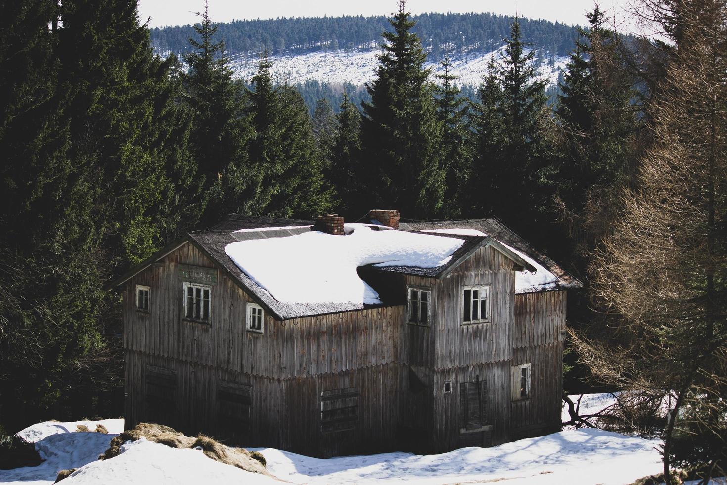 Brown wooden house in mountains photo