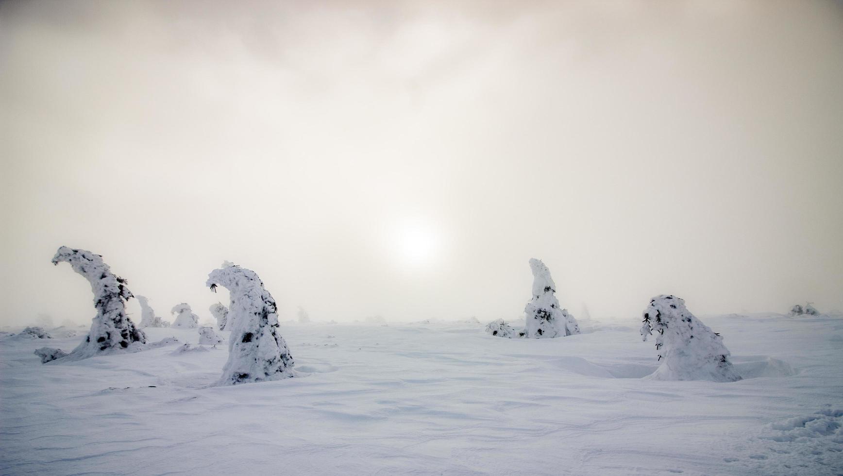 Sunny sky in the snowy desert photo