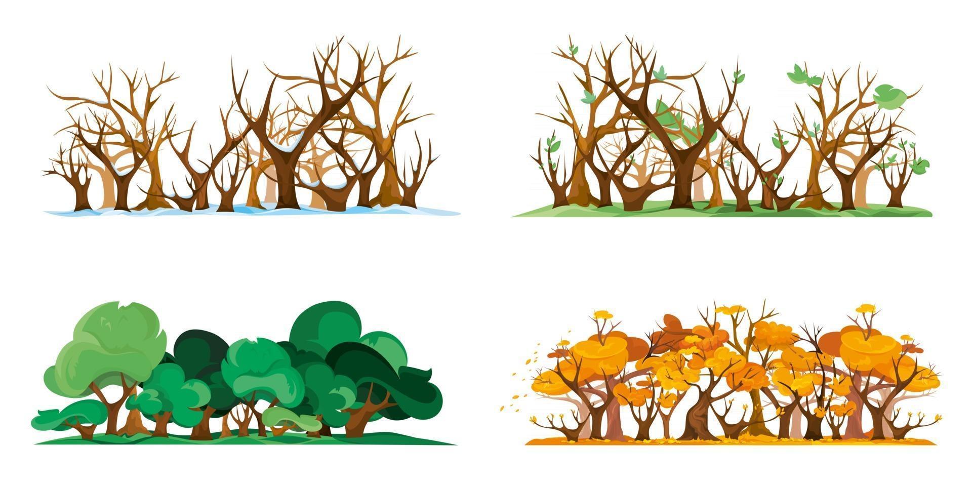 Isolated forest at different times of year vector
