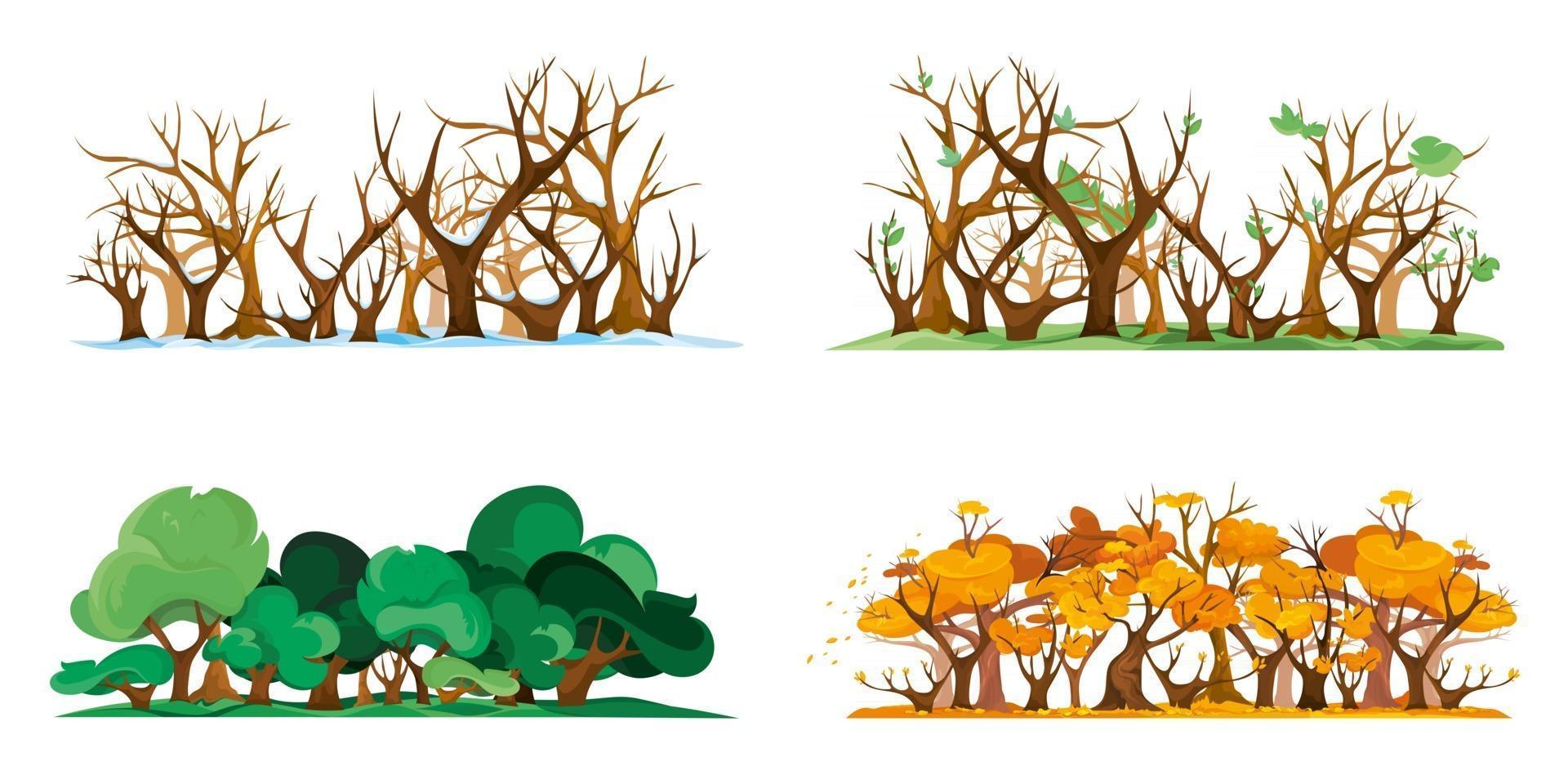 bosque aislado en diferentes épocas del año vector