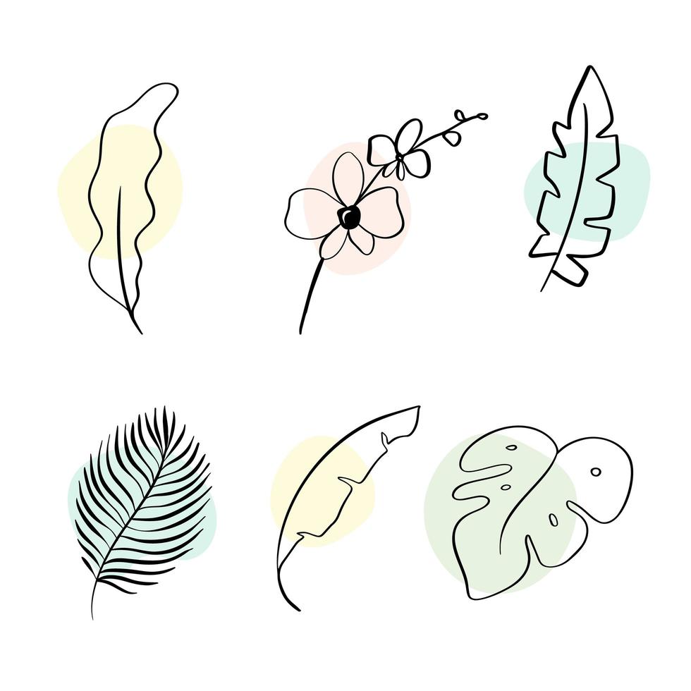 Floral Decoration Branch Leaf Plant Line Stroke Symbol Set Collection. Hand drawn doodle Vector Illustration