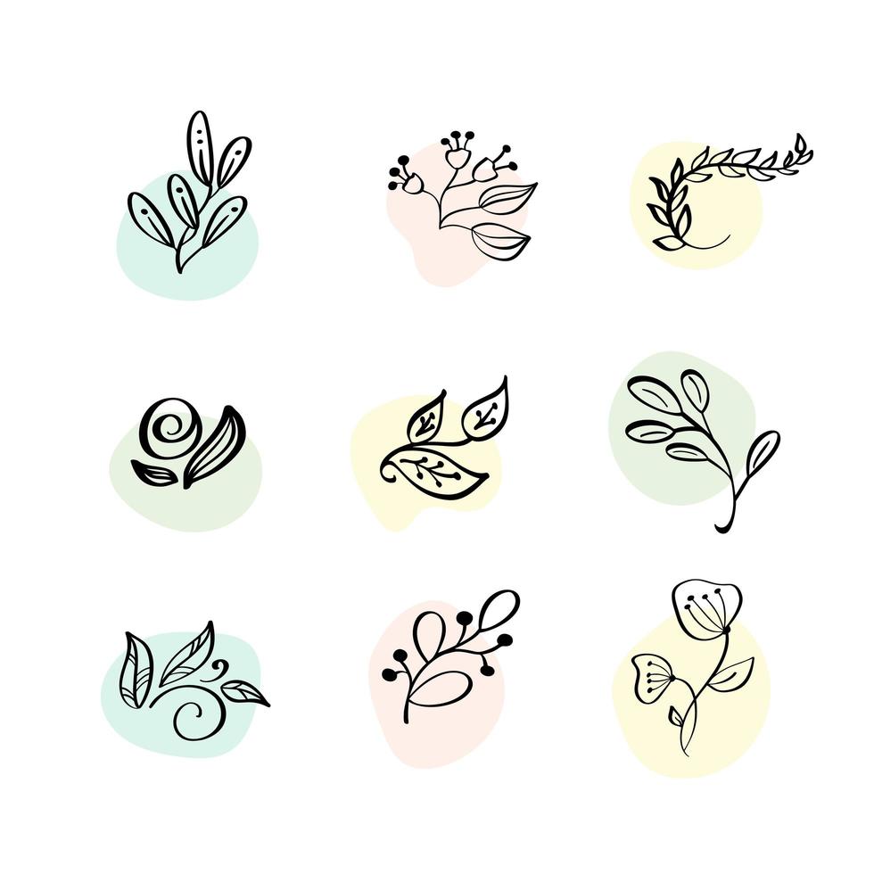 Floral Decoration Branch Leaf Plant Line Stroke Symbol Set. Hand drawn doodle Vector Illustration