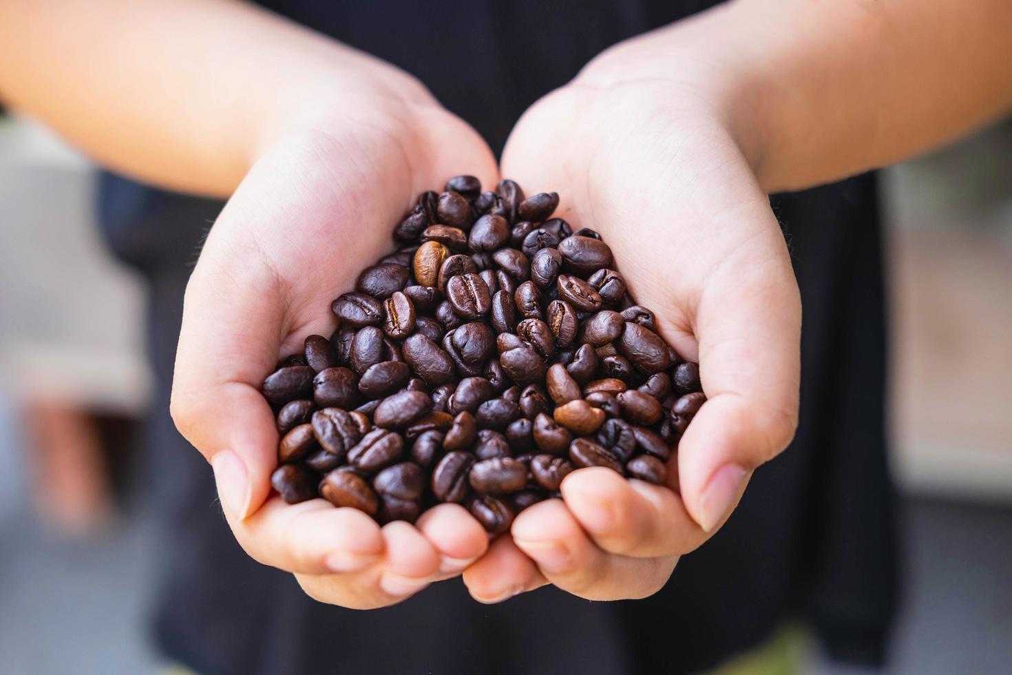 granos de café tostados en la mano foto