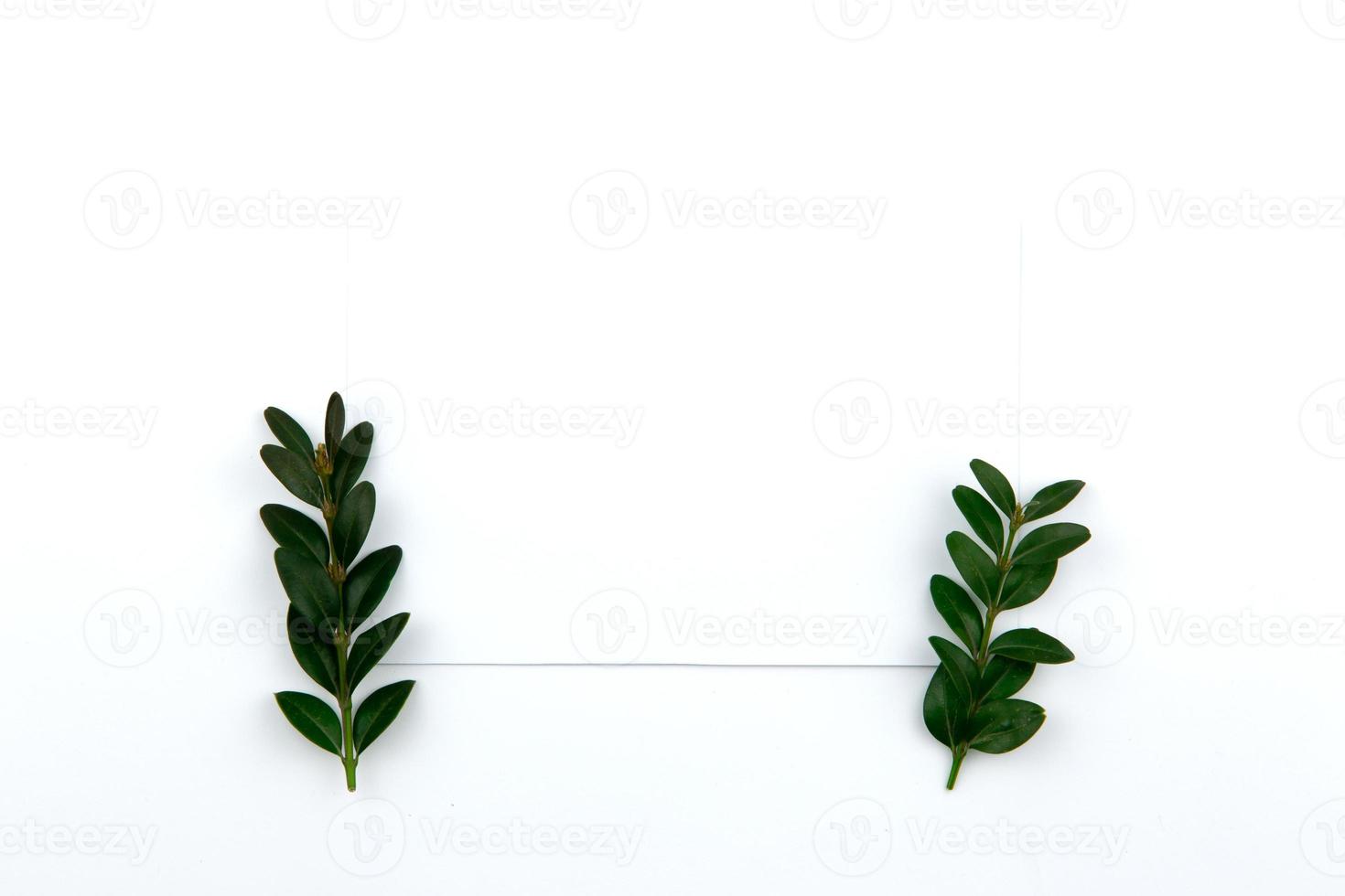 Top view on a sheet of paper and a green twig with leaves photo