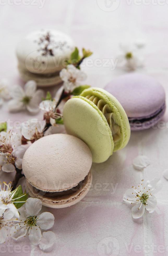 French sweet macaroons photo