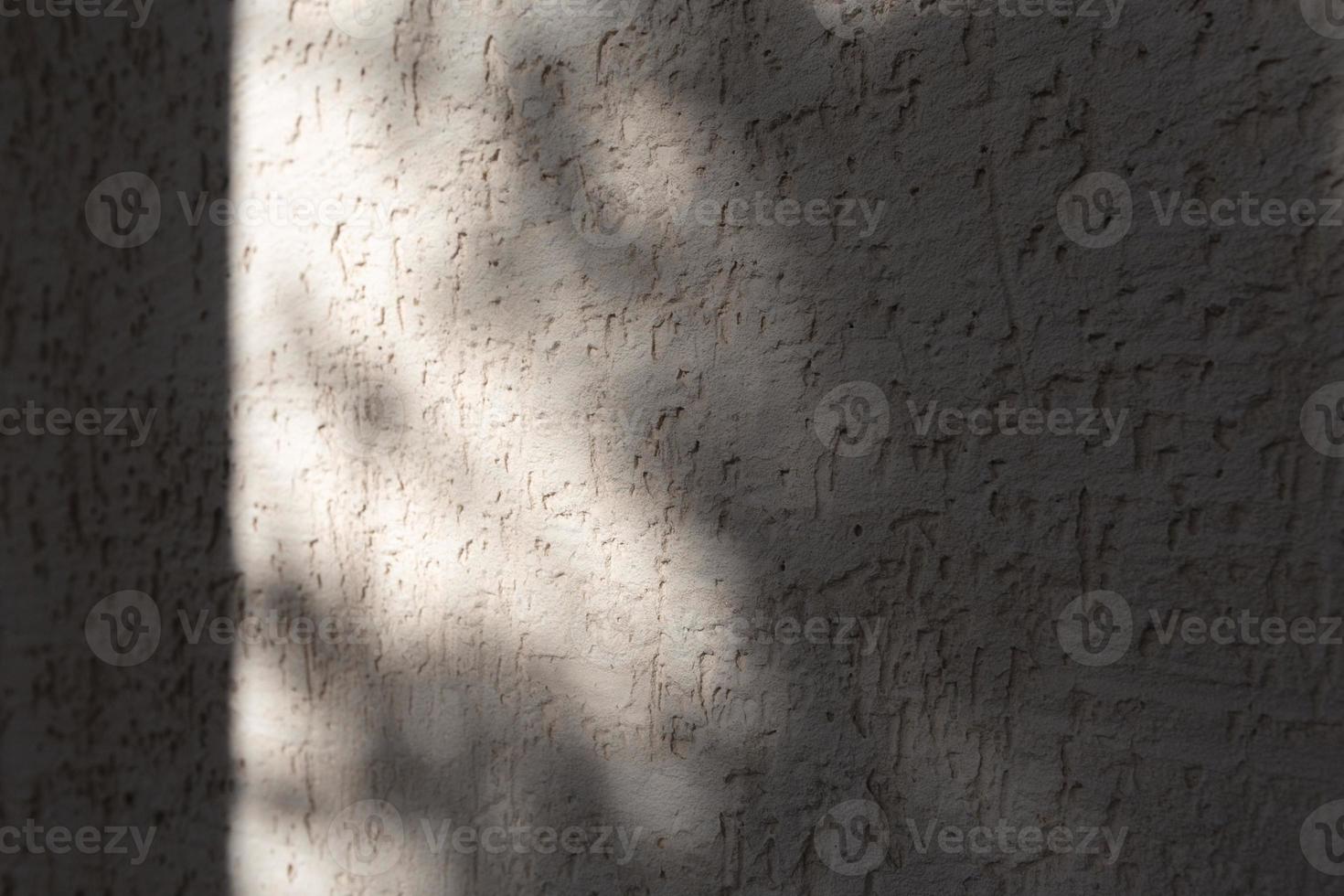 Abstract shadow of the leaves on a white wall background photo