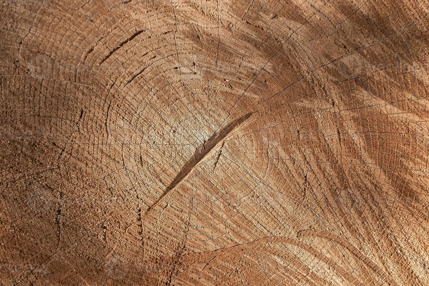 Chipped wood texture background photo