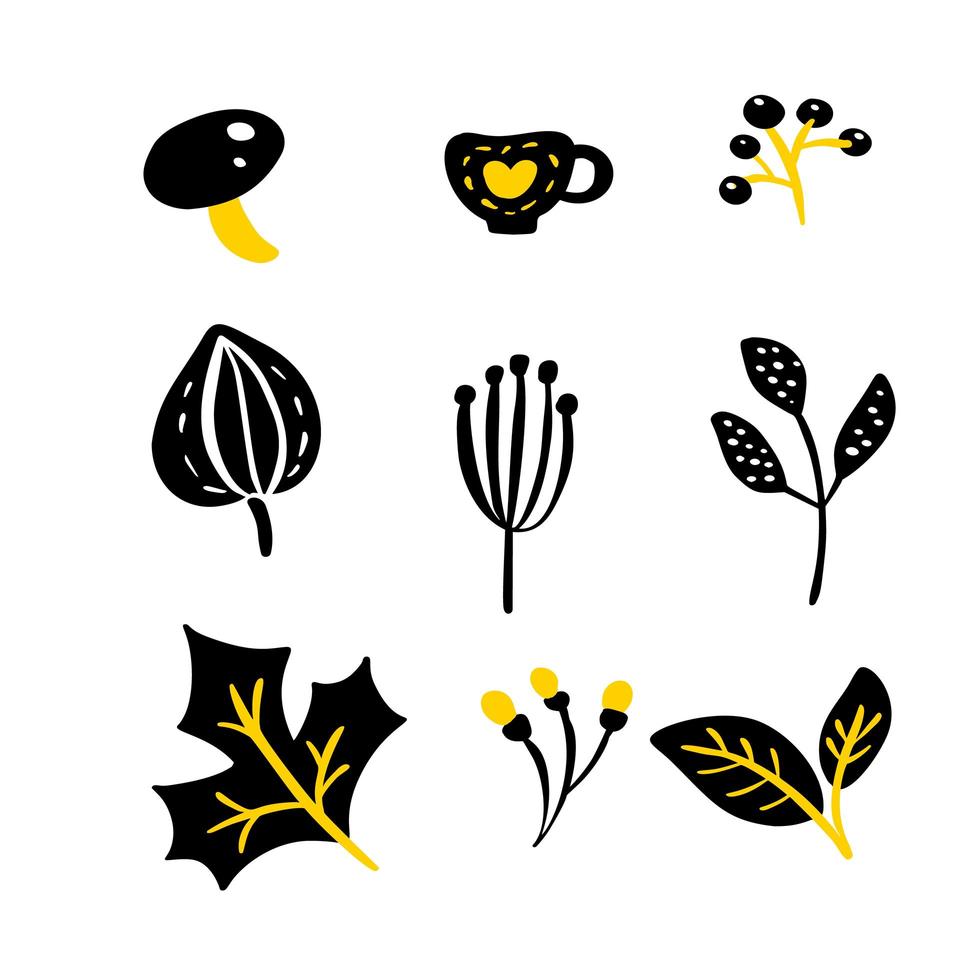 Set of vector doodle floral elements. Autumn collection.