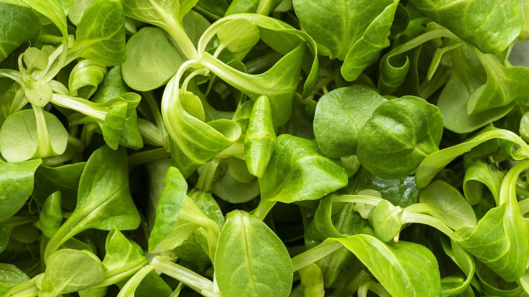 Delicious nutritious food texture composition close up background photo