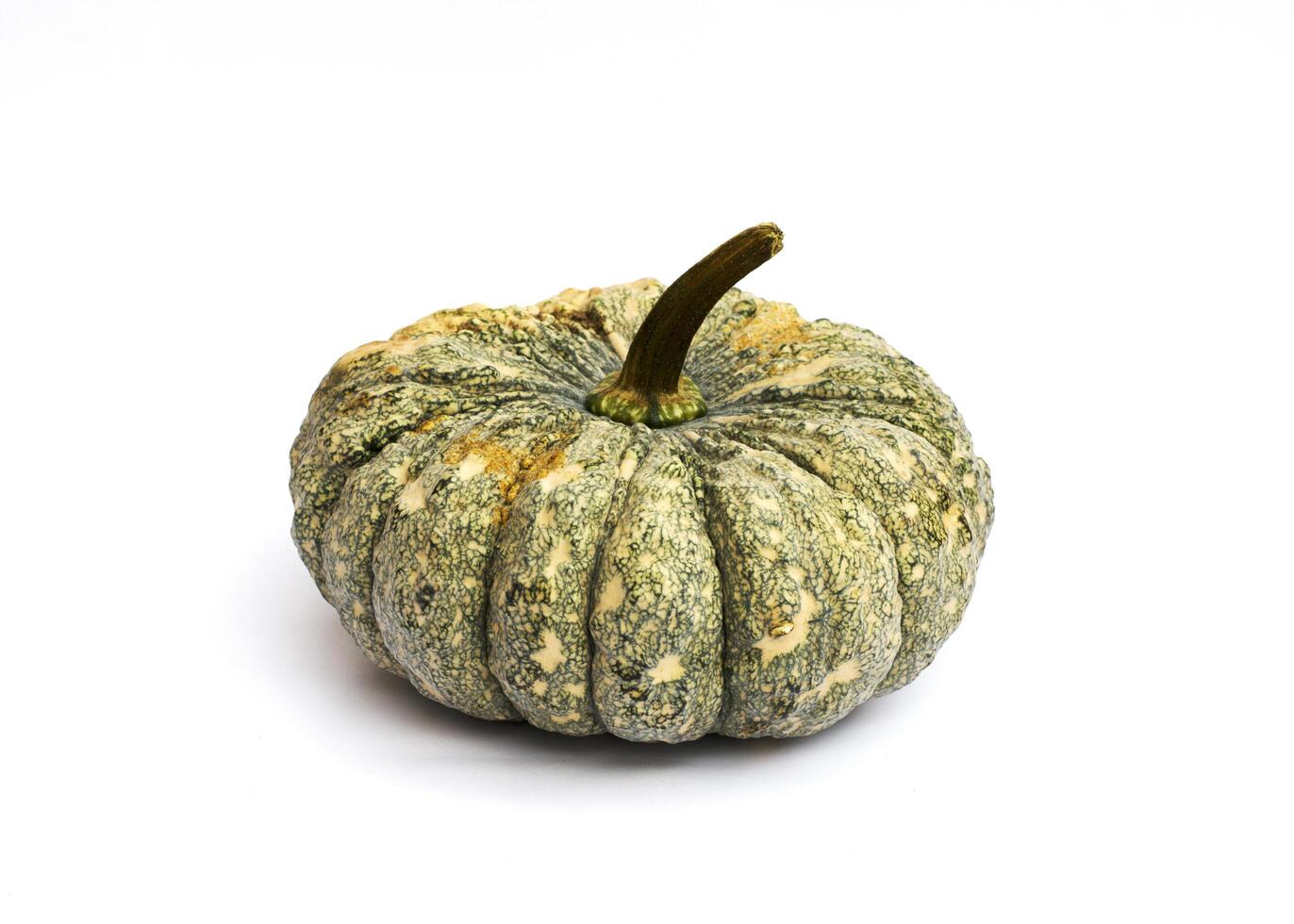 Vegetal de calabaza aislado sobre fondo blanco. foto