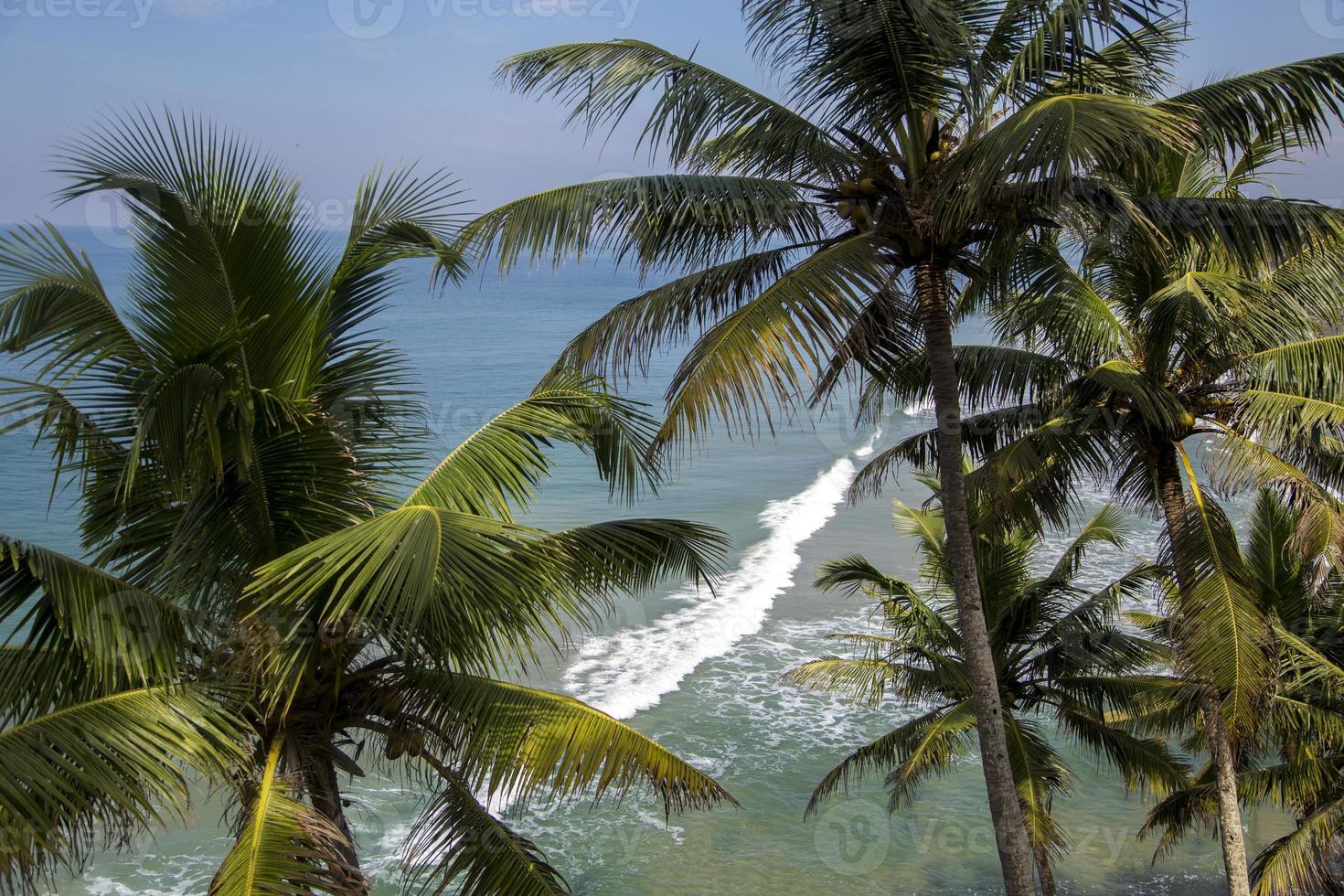 Sea in Varkala in Kerala state India photo