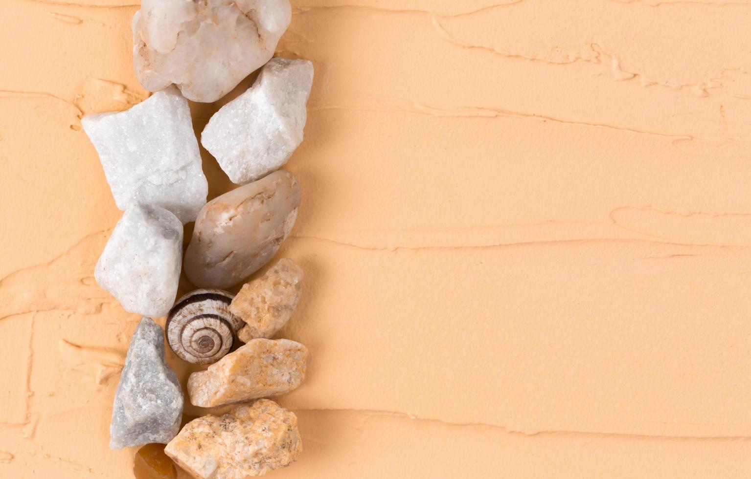 Sea shells laid out on a beige background with an empty place for text photo