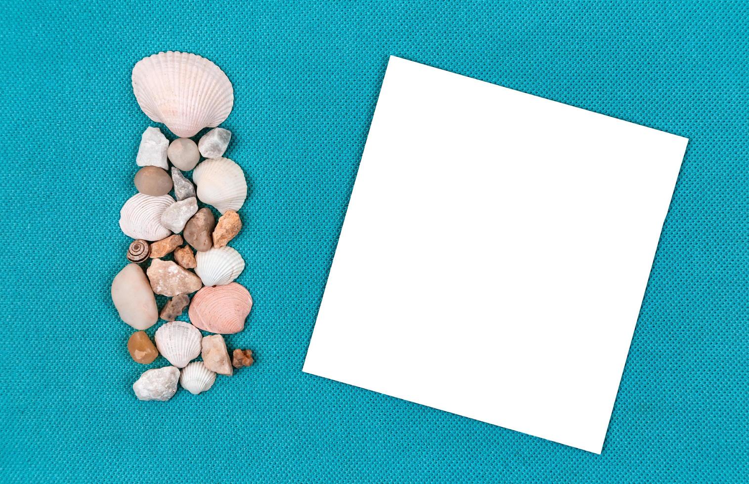 Sea shells laid out on a trendy aqua blue background with an empty place for text photo