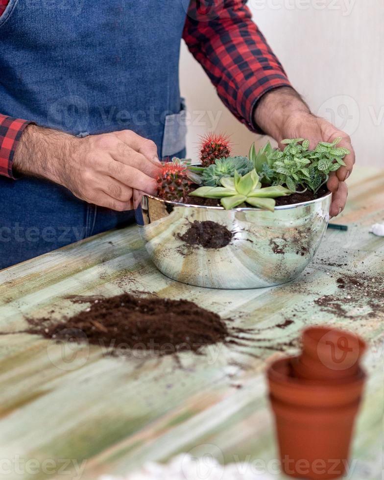 Jardinero haciendo terrarios de plantación con cactus suculentas. foto