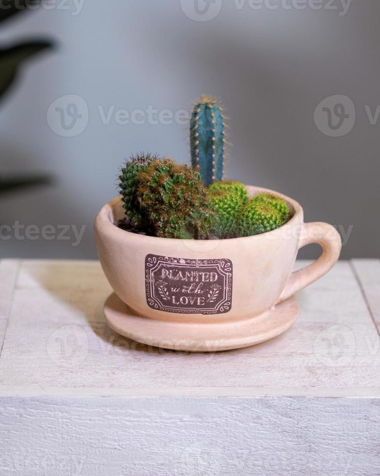 hermoso terrario con flor de cactus, arena de roca dentro de la taza de concierto foto