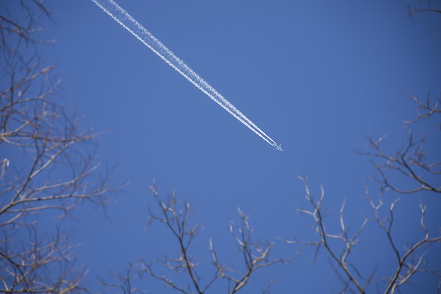 Airplane flying across a clear blue sky with trees photo