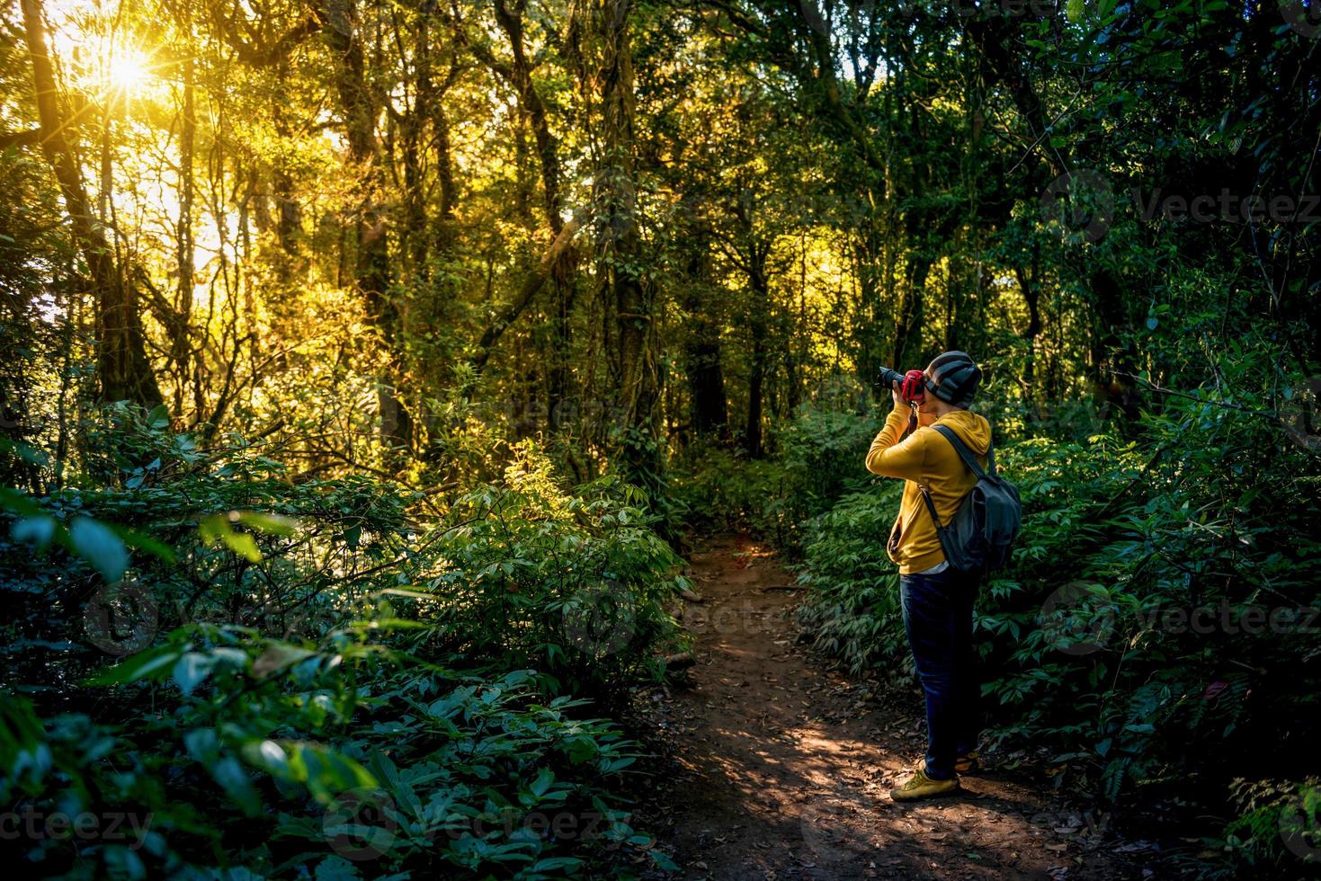 Fotógrafo profesional toma fotos con cámara en el bosque.