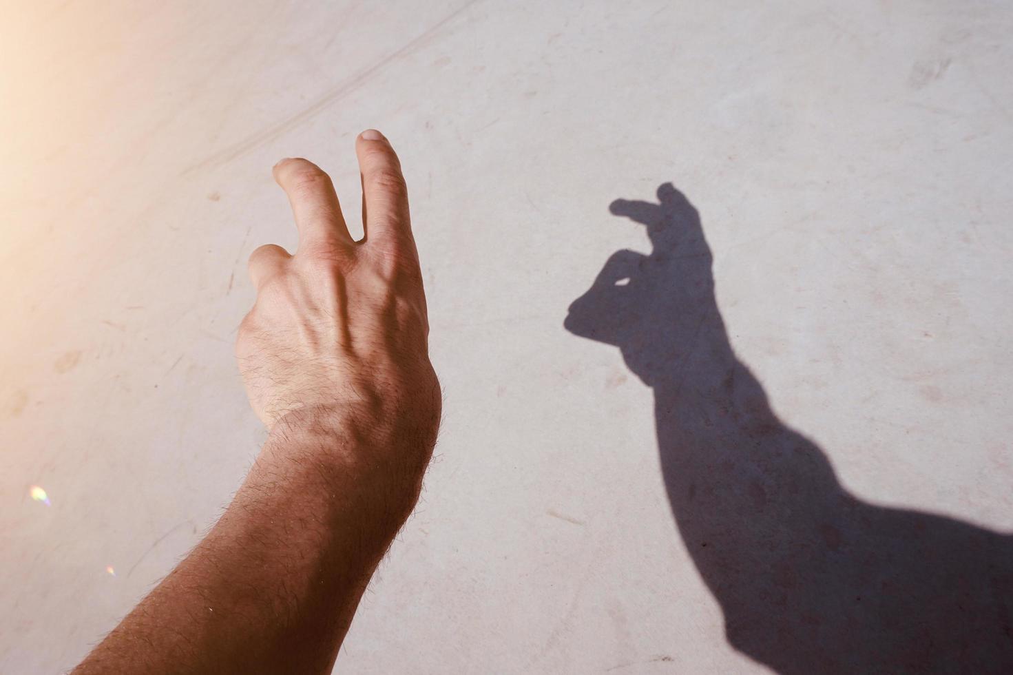 hand gesturing in the shadows photo