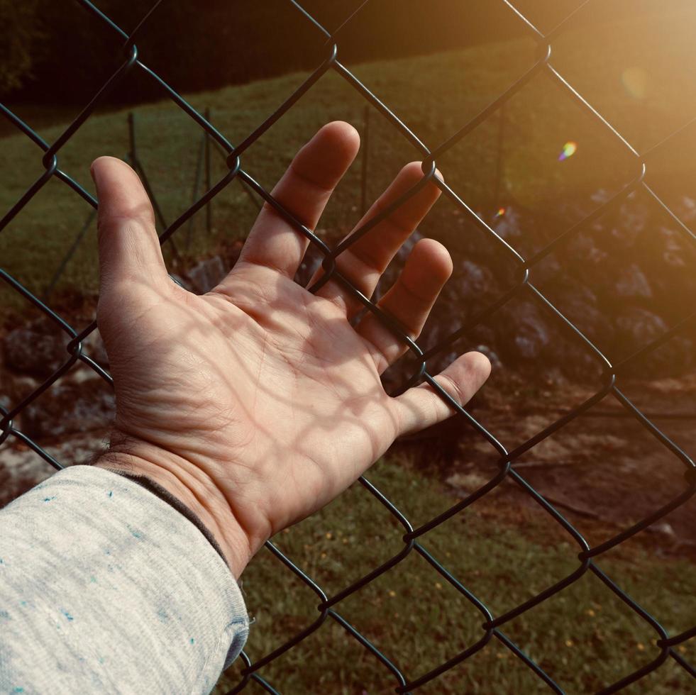 hand gesturing in the shadows photo