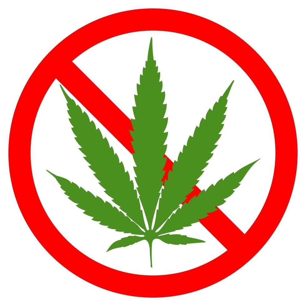 no hay signo simbólico de marihuana círculo rojo hoja verde fondo blanco ilustración vectorial vector